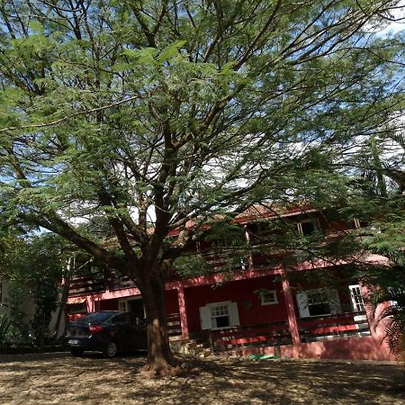 Pousada Cortina De Folhas Tiradentes Exteriör bild